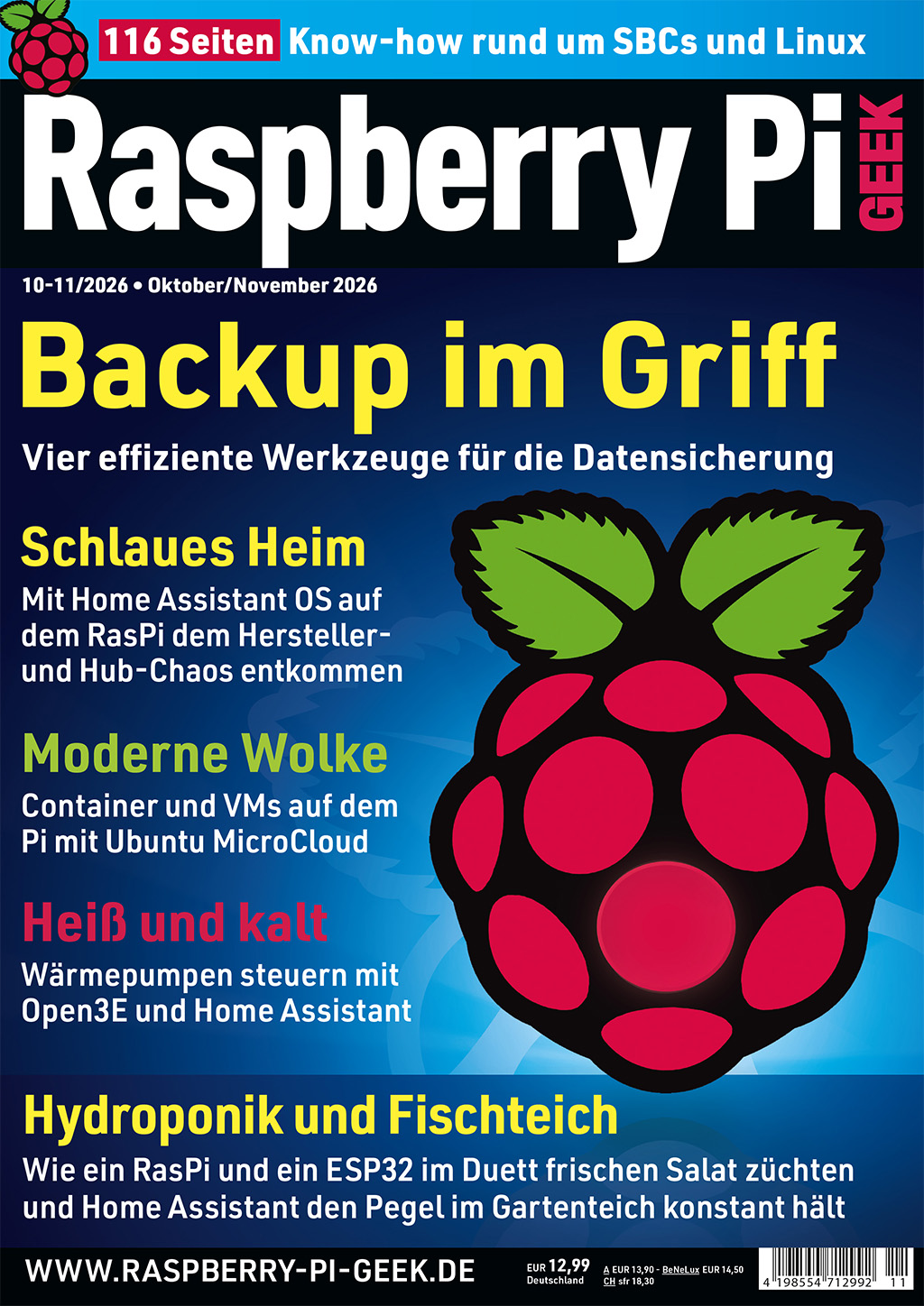 Raspberry Pi Geek ePaper 11/2026